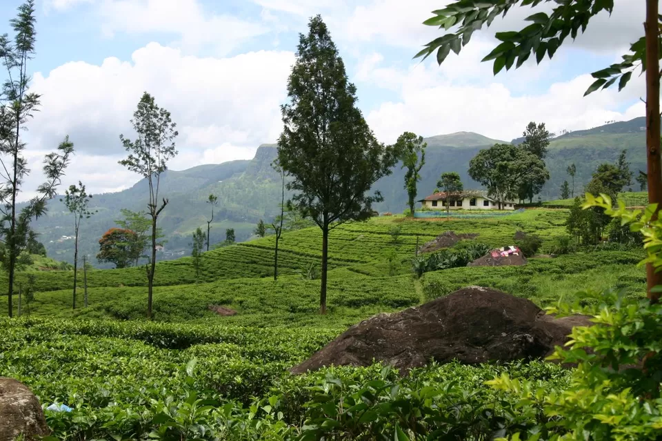 Photo of Nuwara Eliya, Sri Lanka by Priya Pareek