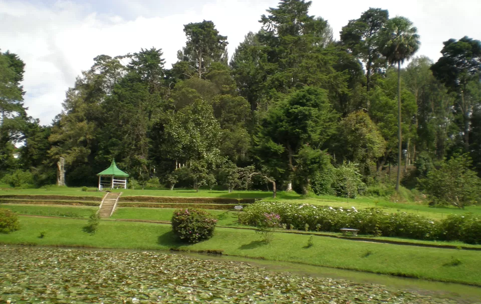 Photo of Victoria Park, Badulla Road, Nuwara Eliya, Sri Lanka by Priya Pareek