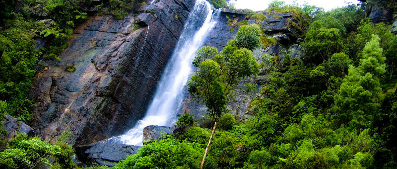 Photo of The Best Of Sri Lanka In Three Days by Priya Pareek