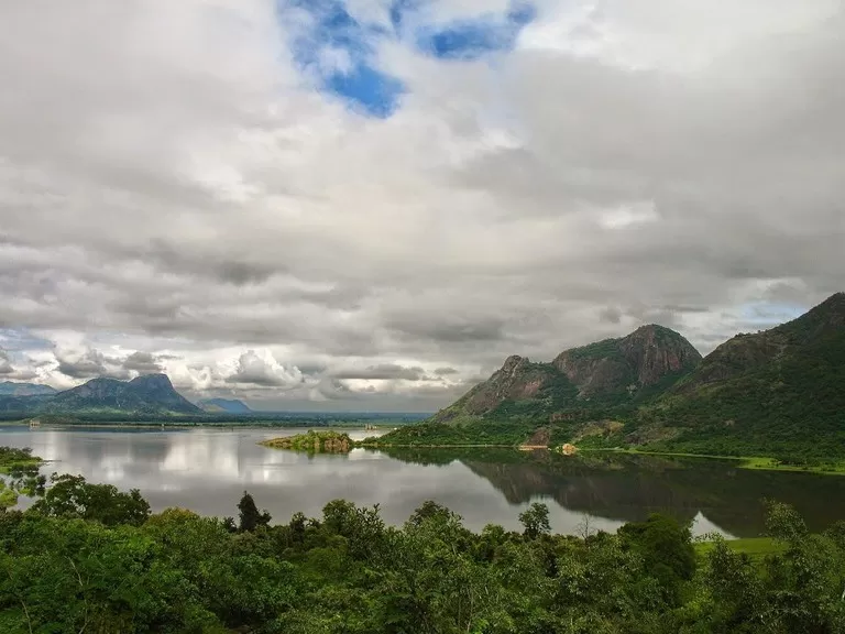 Photo of Palani hills national park, Kodaikanal, Tamil Nadu, India by Priya Pareek