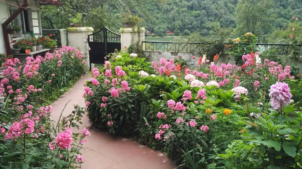 Photo of Colonel's Cottage, Mallital, Nainital, Uttarakhand, India by Priya Pareek