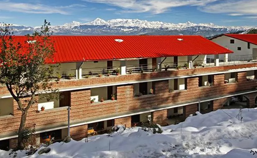 Photo of The Buransh, Kausani, Uttarakhand, India by Priya Pareek