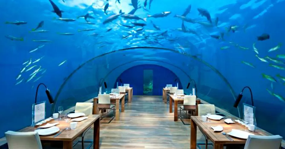 Photo of Ithaa Undersea Restaurant, Conrad Rangali Island, Maldives by Priya Pareek