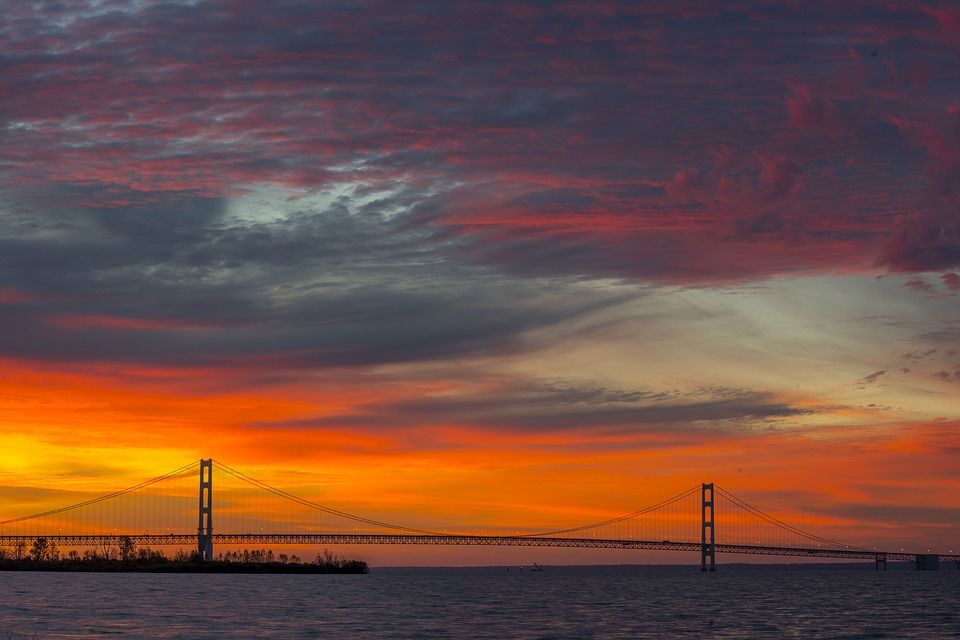 Photo of World’s Longest Sea Bridge Opens In China 1/2 by Priya Pareek