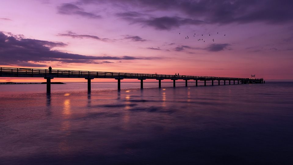 Photo of World’s Longest Sea Bridge Opens In China 2/2 by Priya Pareek