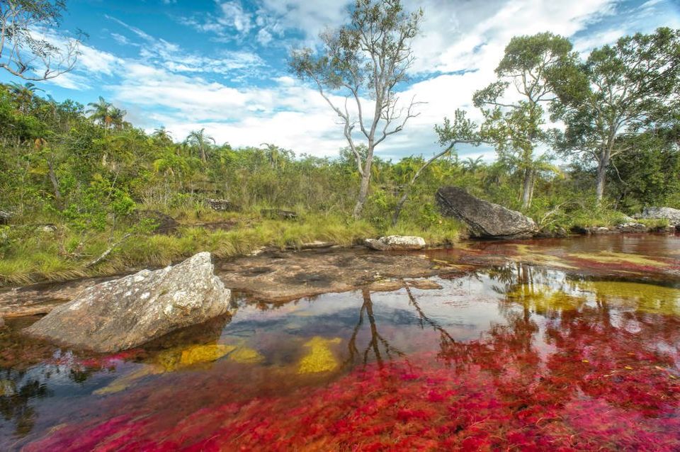 Photo of Colombia’s Liquid Rainbow: River That Ran Away From Paradise by Priya Pareek