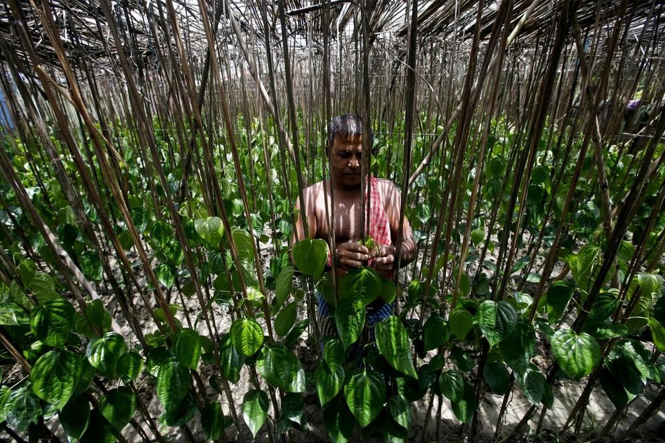 Photo of Ghoramara: This Indian Island Is Slowly Disappearing Because Of Global Warming 1/2 by Priya Pareek