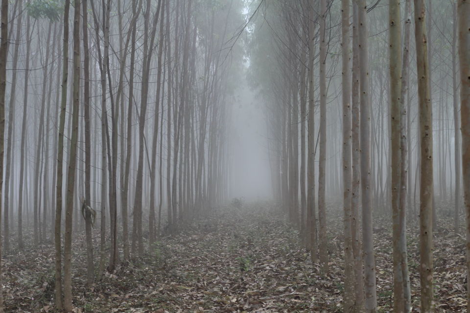 Photo of Unforgettable Winter Experiences In India That Will Make You Love The Cold 2/8 by Priya Pareek