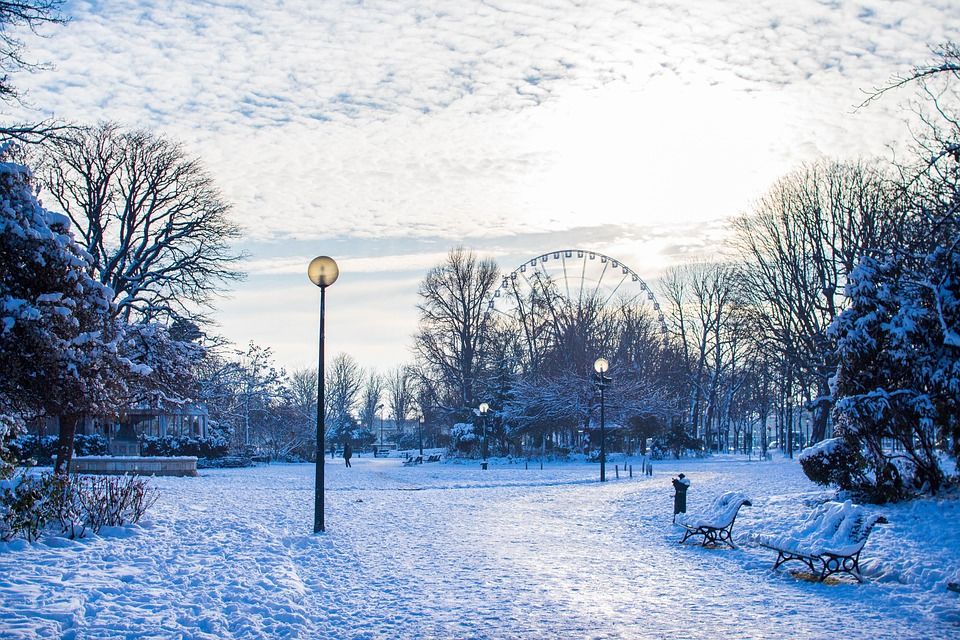 Photo of See Pics: Paris Turns Into Winter Wonder After First Snowfall by Priya Pareek