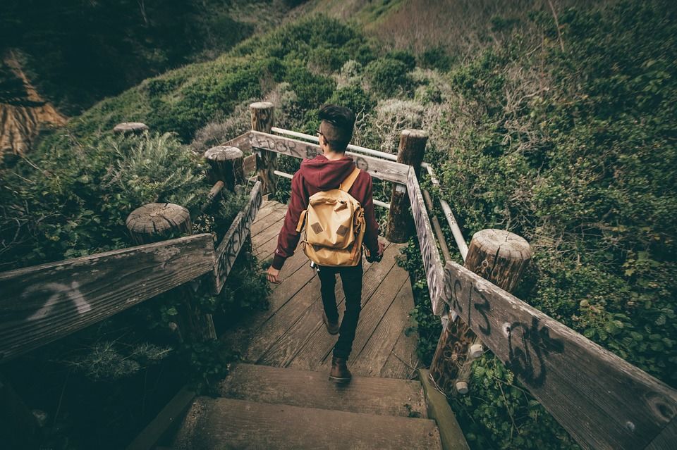 Photo of DNA Tourism: Understanding The Next Big Travel Trend 3/4 by Priya Pareek