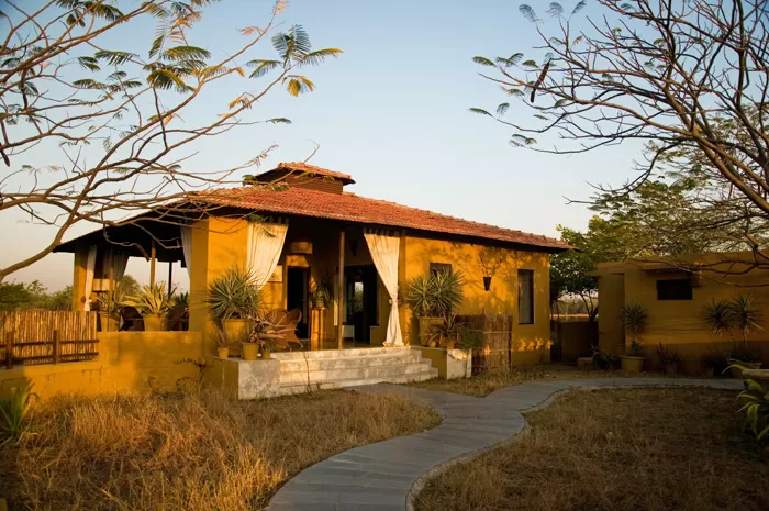 Photo of Blackbuck Lodge, Saurashtra, Bhavnagar, Gujarat, India by Priya Pareek