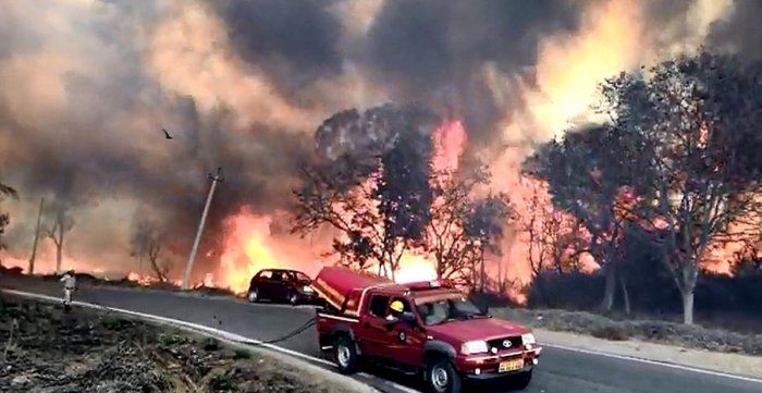 Photo of Massive Fire Engulfs Bandipura Tiger Reserve, Caution For Travellers 3/5 by Priya Pareek