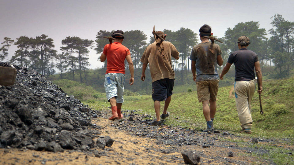 Photo of India’s Most Pristine & Dense Forest Area In Chhattisgarh Gets Coal Mining Clearance by Priya Pareek