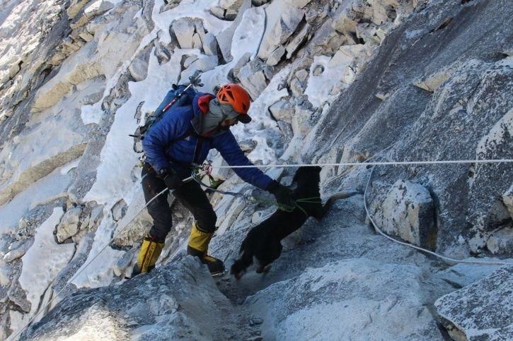 Photo of Meet the Nepalese Dog That Climbed 23,000 Feet After Befriending an Expedition Group 1/2 by Priya Pareek