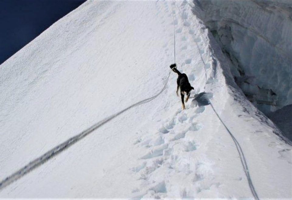 Photo of Meet the Nepalese Dog That Climbed 23,000 Feet After Befriending an Expedition Group 2/2 by Priya Pareek