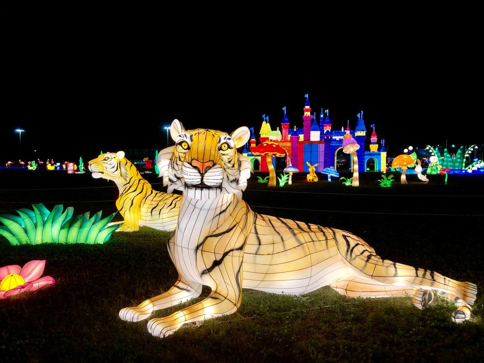 Photo of Lantern Light Festival: A Kaleidoscope of Colors in Variety of Structures & Themes 9/9 by Priya Pareek