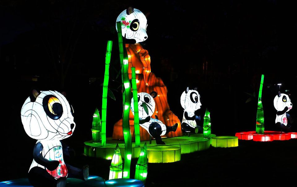 Photo of Lantern Light Festival: A Kaleidoscope of Colors in Variety of Structures & Themes 4/9 by Priya Pareek