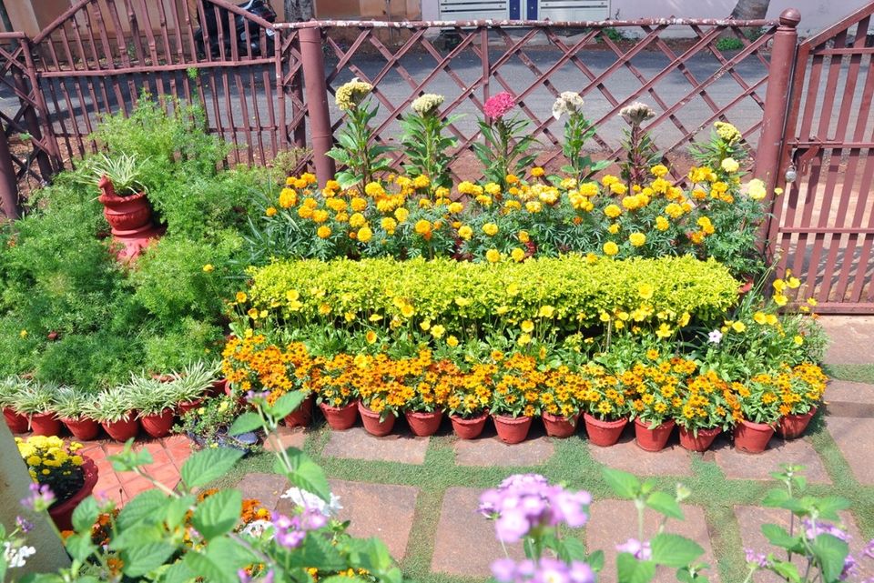 Photo of Designed with Bottles, Tyres and Old Shoes, Mysuru Woman’s Garden Wins 11 Awards in a Row by Priya Pareek