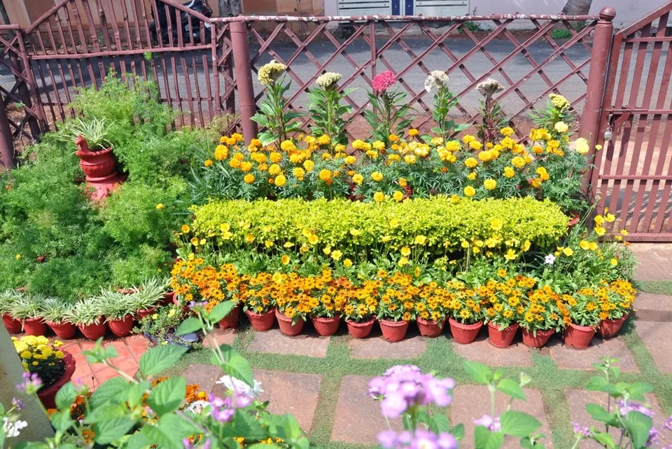 Photo of Designed with Bottles, Tyres and Old Shoes, Mysuru Woman’s Garden Wins 11 Awards in a Row by Priya Pareek