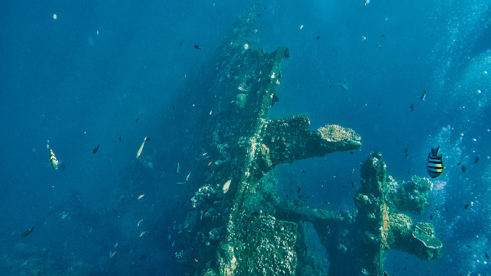 Photo of Beautiful Beaches That Have Haunting Shipwrecks You Can Explore by Priya Pareek