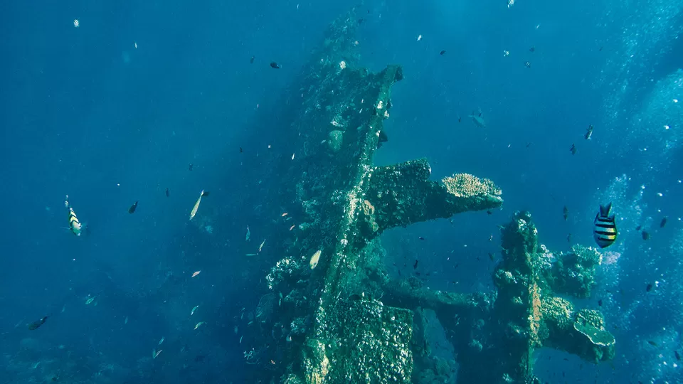 Photo of Beautiful Beaches That Have Haunting Shipwrecks You Can Explore by Priya Pareek