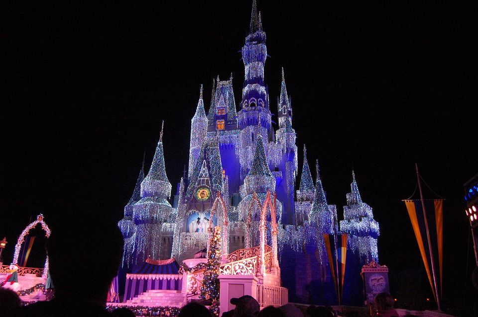 Photo of Disney World, Walt Disney World Resort, Orlando, FL, USA by Priya Pareek