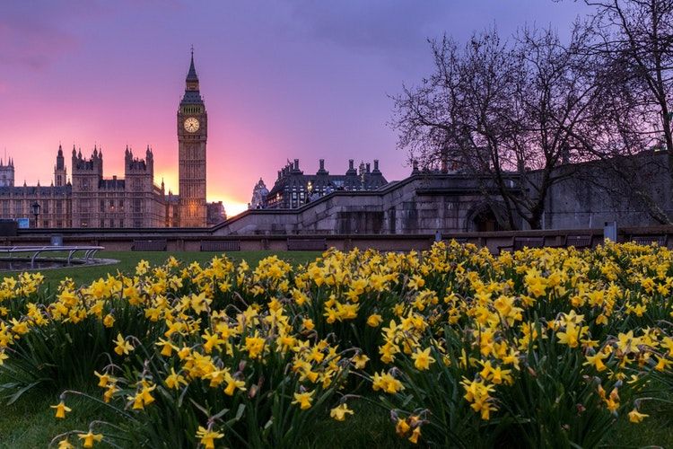 Photo of Dream Job Alert! This Company Is Offering $63,000 to Travel in Search of Instagrammable Locations 1/3 by Priya Pareek