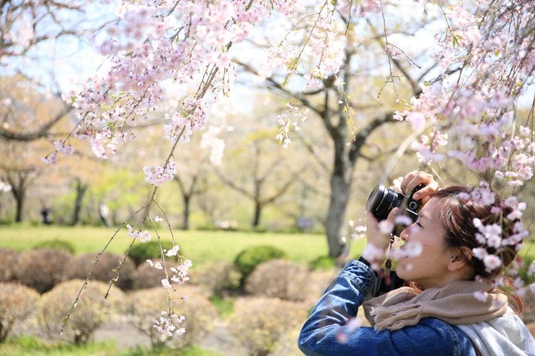 Photo of Dream Job Alert! This Company Is Offering $63,000 to Travel in Search of Instagrammable Locations 2/3 by Priya Pareek