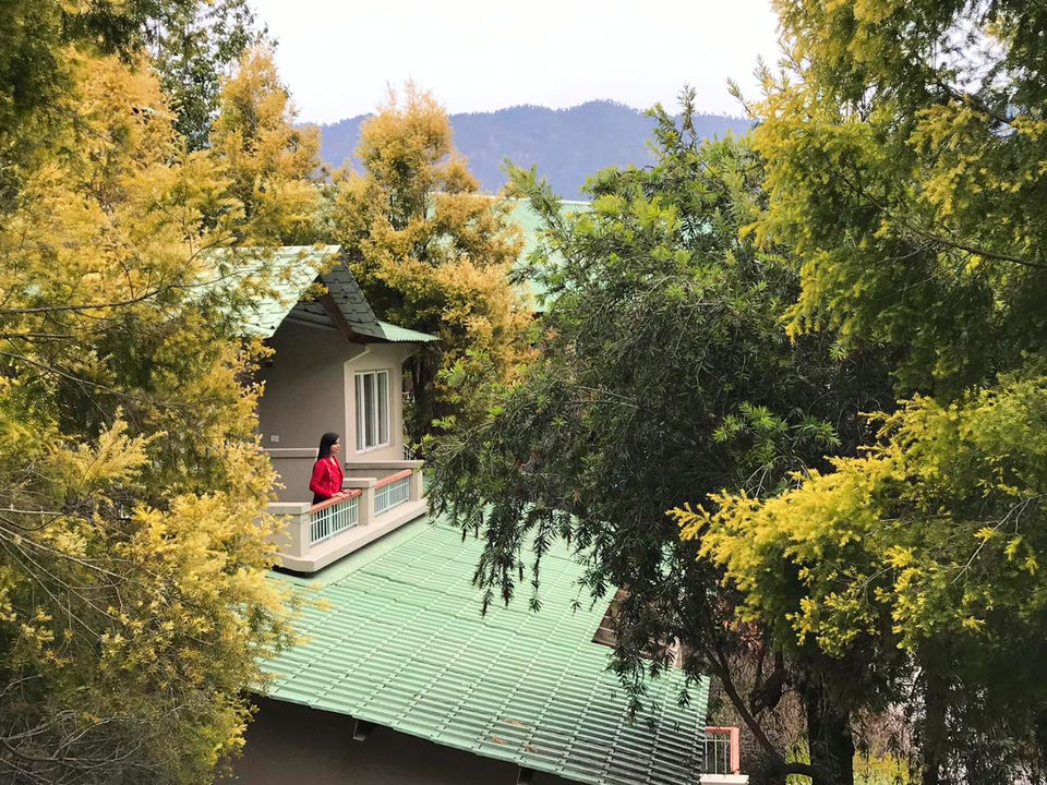 Photo of Club Mahindra Binsar: Promising the Best Himalayan Holiday by Priya Pareek