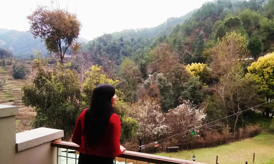 Photo of Club Mahindra Binsar: Promising the Best Himalayan Holiday by Priya Pareek