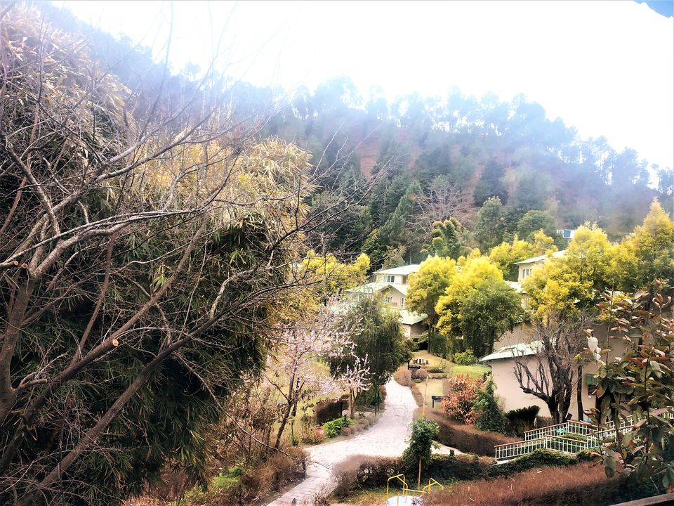 Photo of Club Mahindra Binsar Valley, Sunoli Mafi, Uttarakhand, India by Priya Pareek