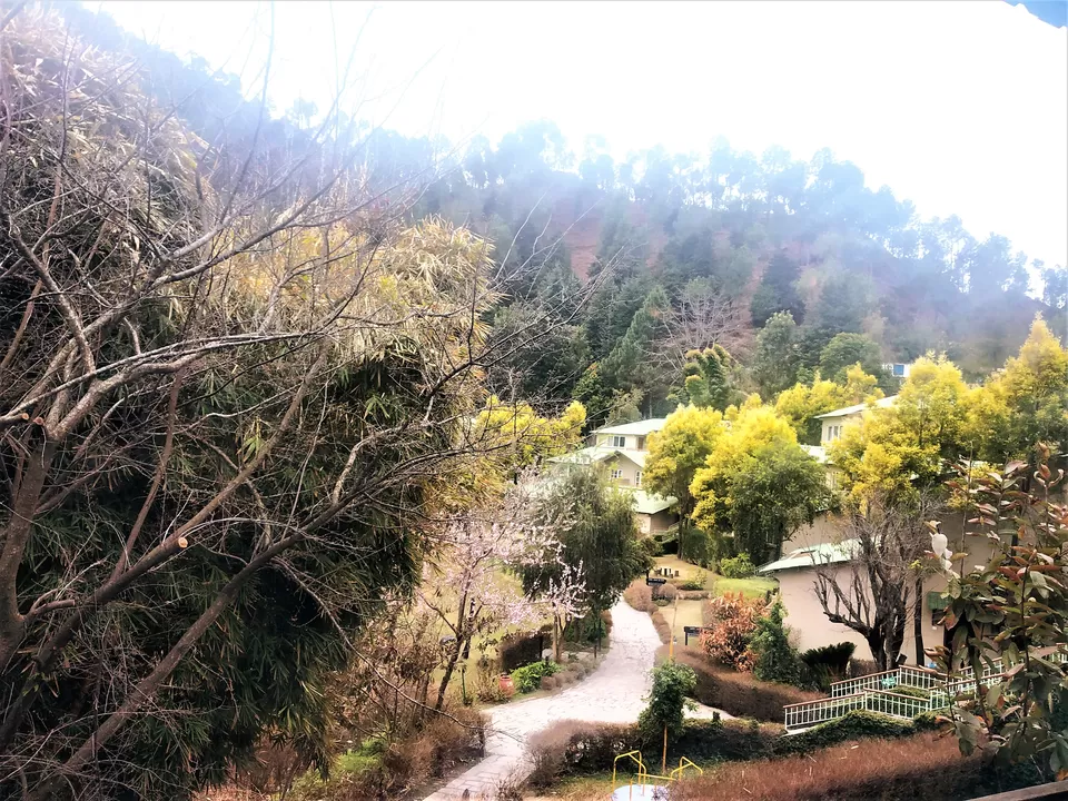 Photo of Club Mahindra Binsar Valley, Sunoli Mafi, Uttarakhand, India by Priya Pareek
