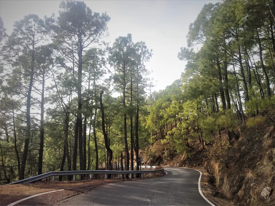 Photo of Club Mahindra Binsar: Promising the Best Himalayan Holiday by Priya Pareek