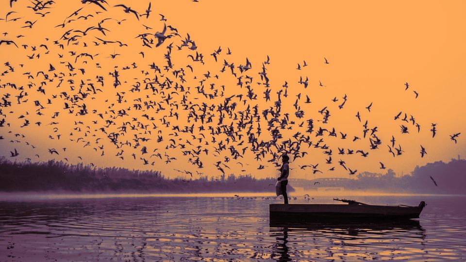 Photo of You Can Soon Travel to UP via Yamuna on a Water Taxi by Priya Pareek