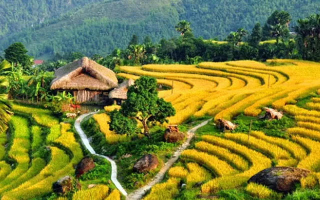 Photo of Sapa, Sa Pa, Lao Cai, Vietnam by Priya Pareek