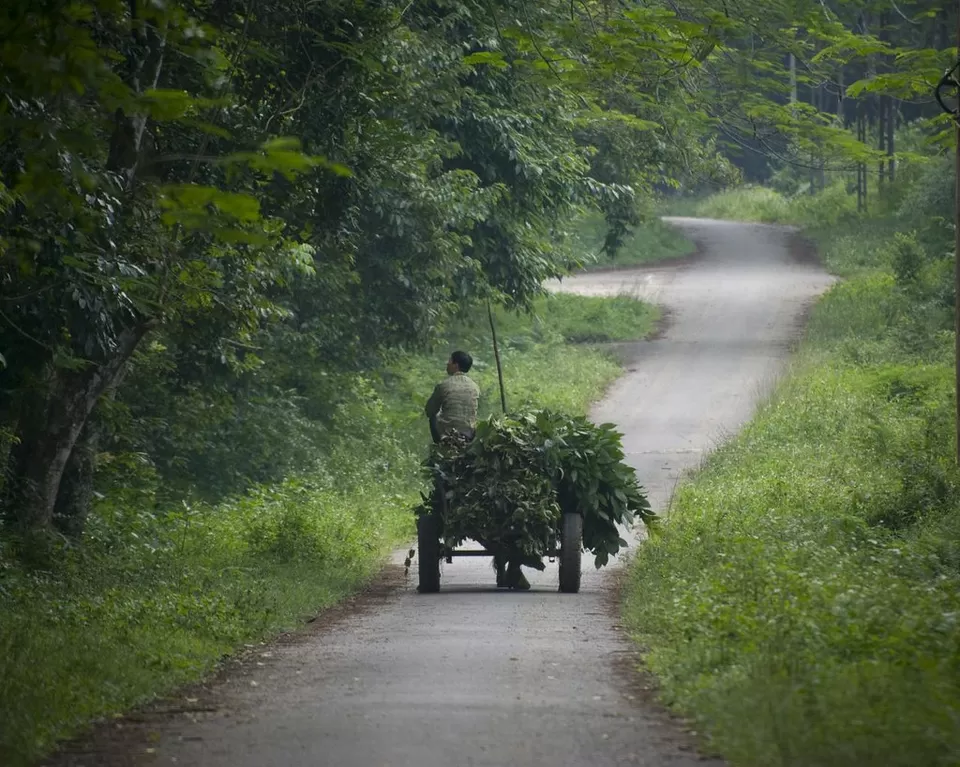 Photo of Cuc Phuong National Park, Nho Quan District, Ninh Bình Province, Vietnam by Priya Pareek