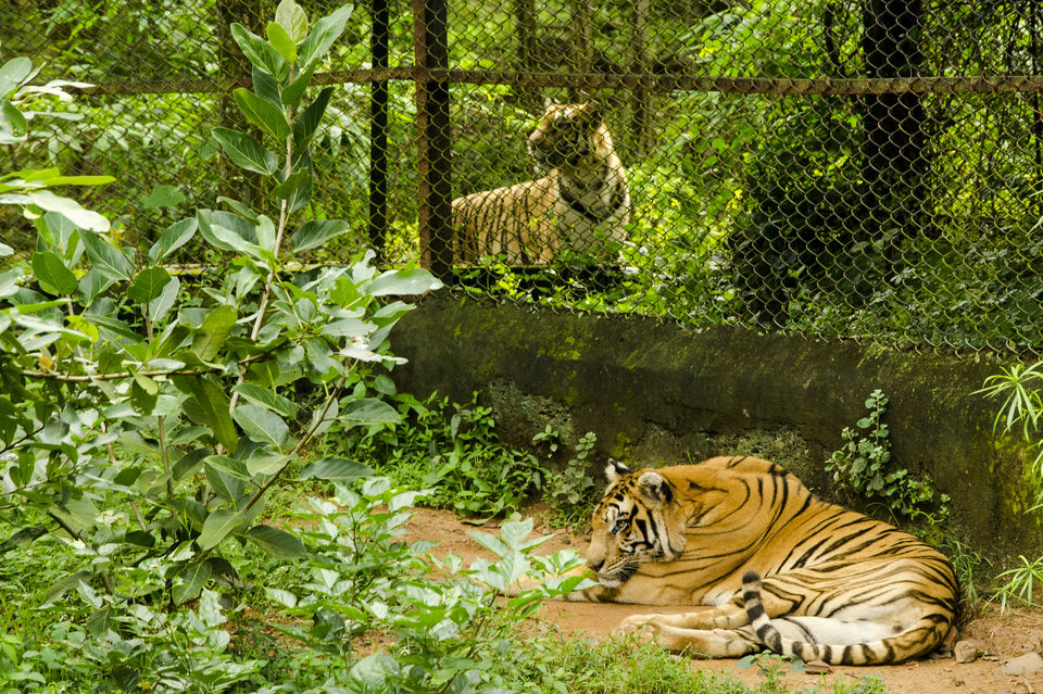 Photo of The Belgadia Palace: Here's How This Royal Palace Is Building Sustainable Tourism in Odisha by Priya Pareek