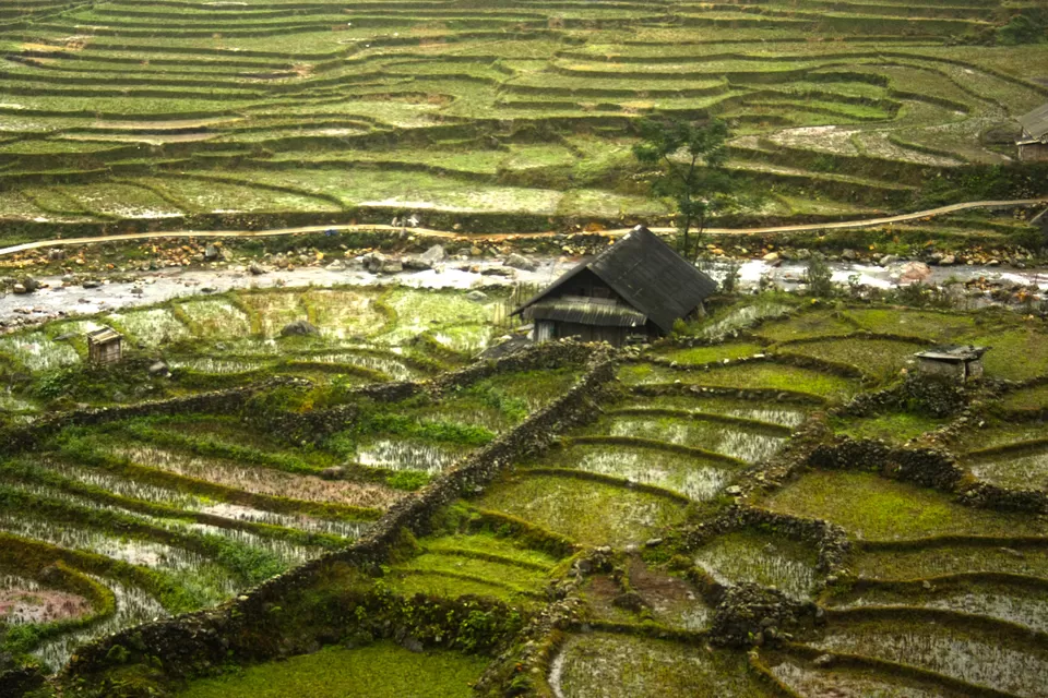 Photo of Vietnam by Priya Pareek