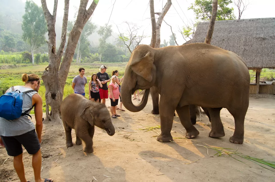 Photo of Chiang Mai, Thailand by Priya Pareek