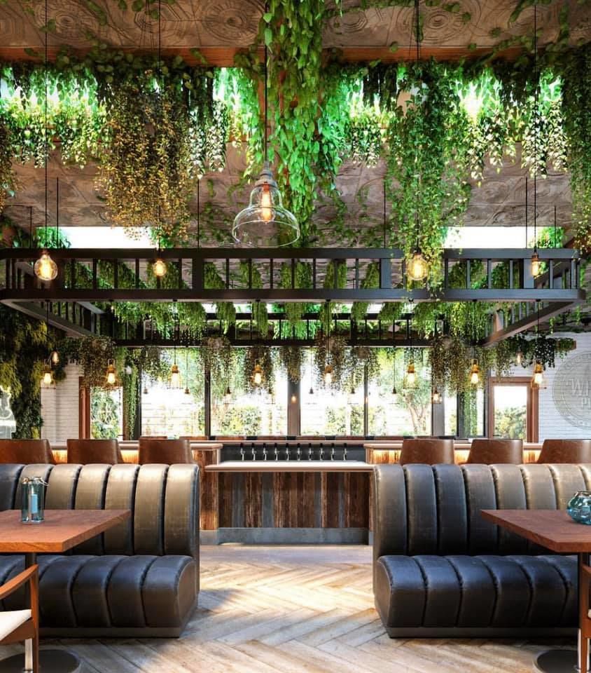 Photo of Marijuana’s march: America welcomes its first cannabis cafe in Hollywood 1/1 by Priya Pareek