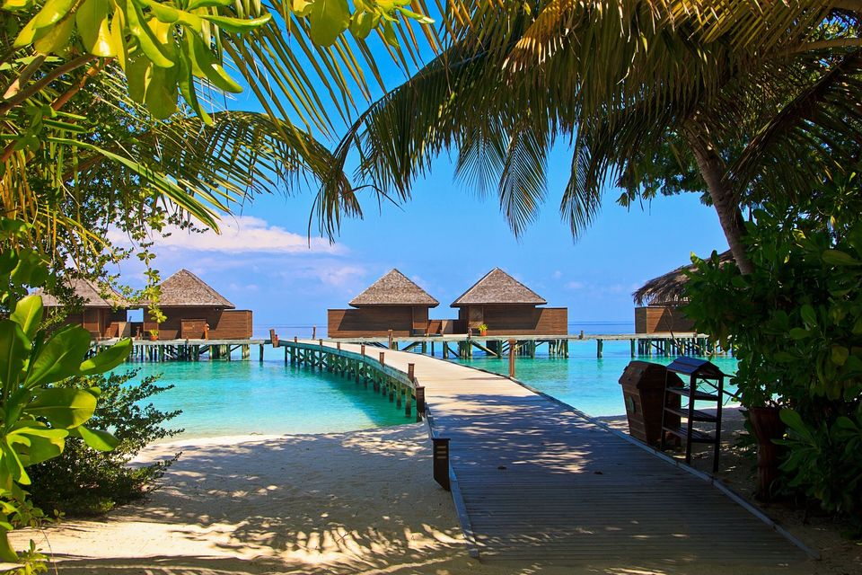Photo of Maldives Suspends Tourists Travelling From India Amid COVID-19 Surge by Priya Pareek
