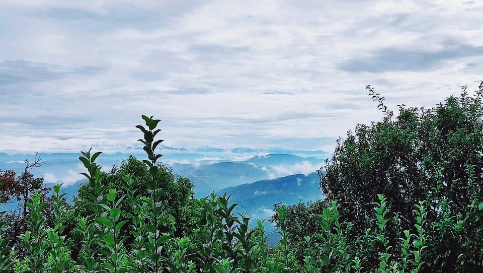 Photo of Tucked Away in a Quaint Village, This Mukteshwar Resort Is a Heaven in Himalayas 7/16 by Priya Pareek