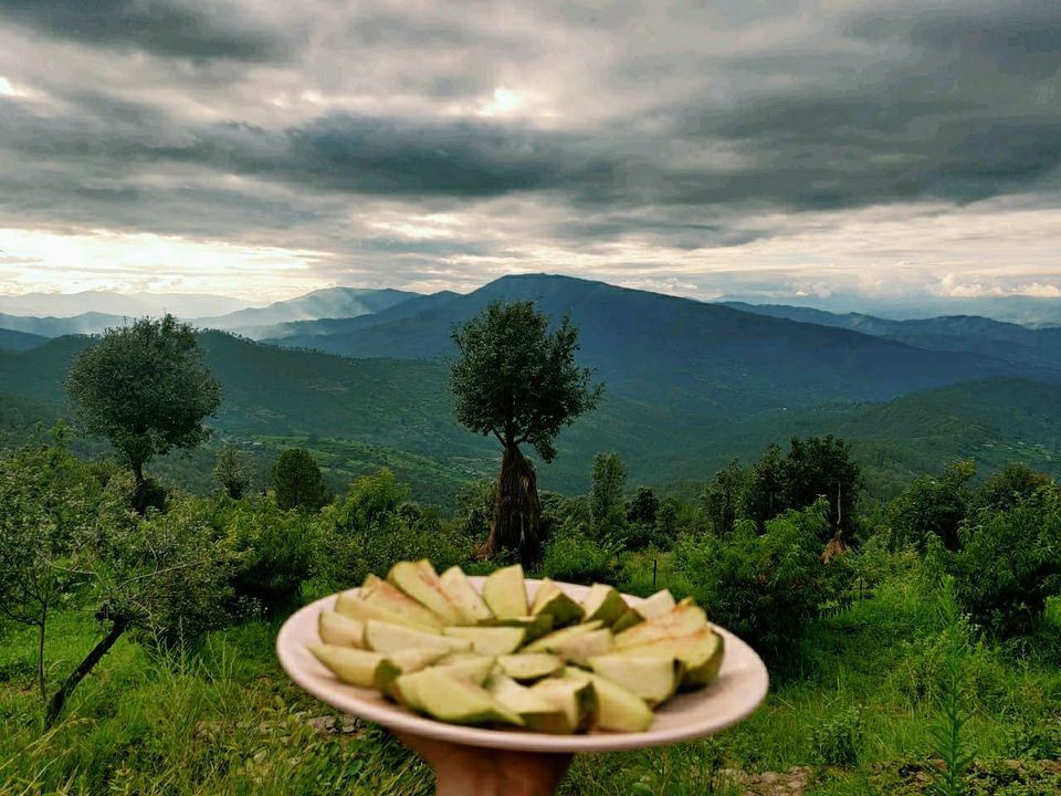 Photo of Tucked Away in a Quaint Village, This Mukteshwar Resort Is a Heaven in Himalayas 12/16 by Priya Pareek