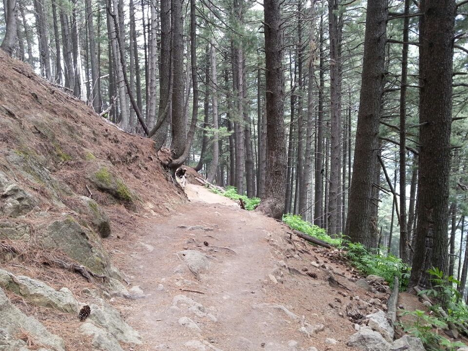 Photo of Jammu and Kashmir by Nitya Venkataraman