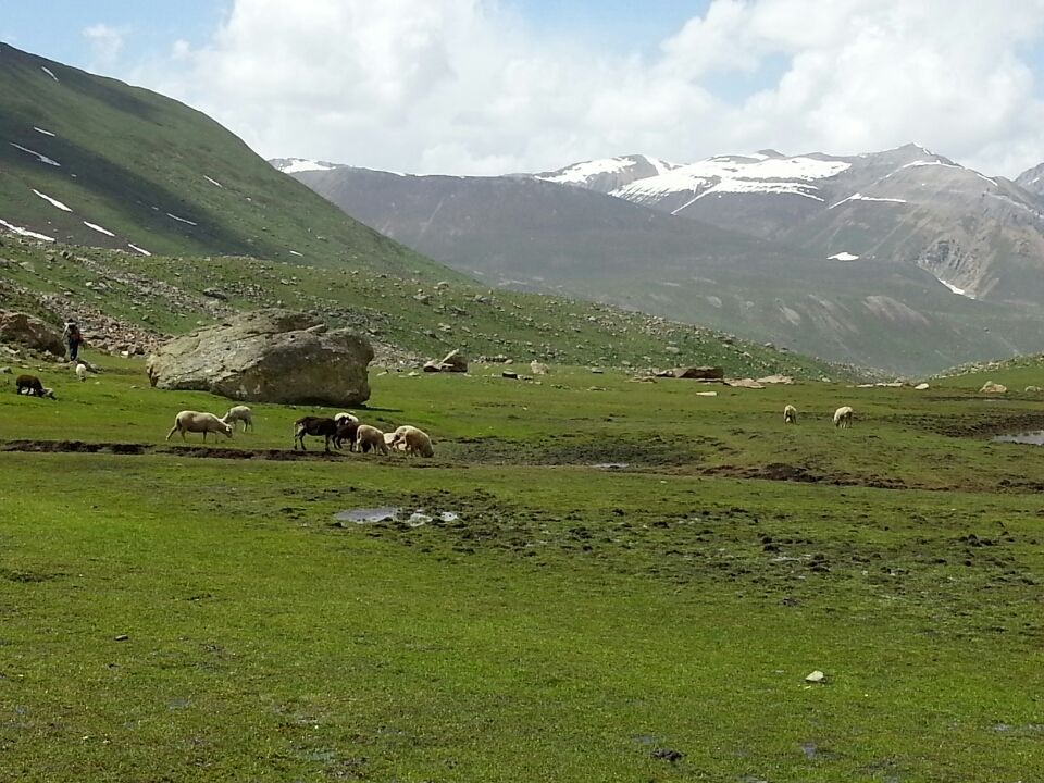Photo of Jammu and Kashmir by Nitya Venkataraman