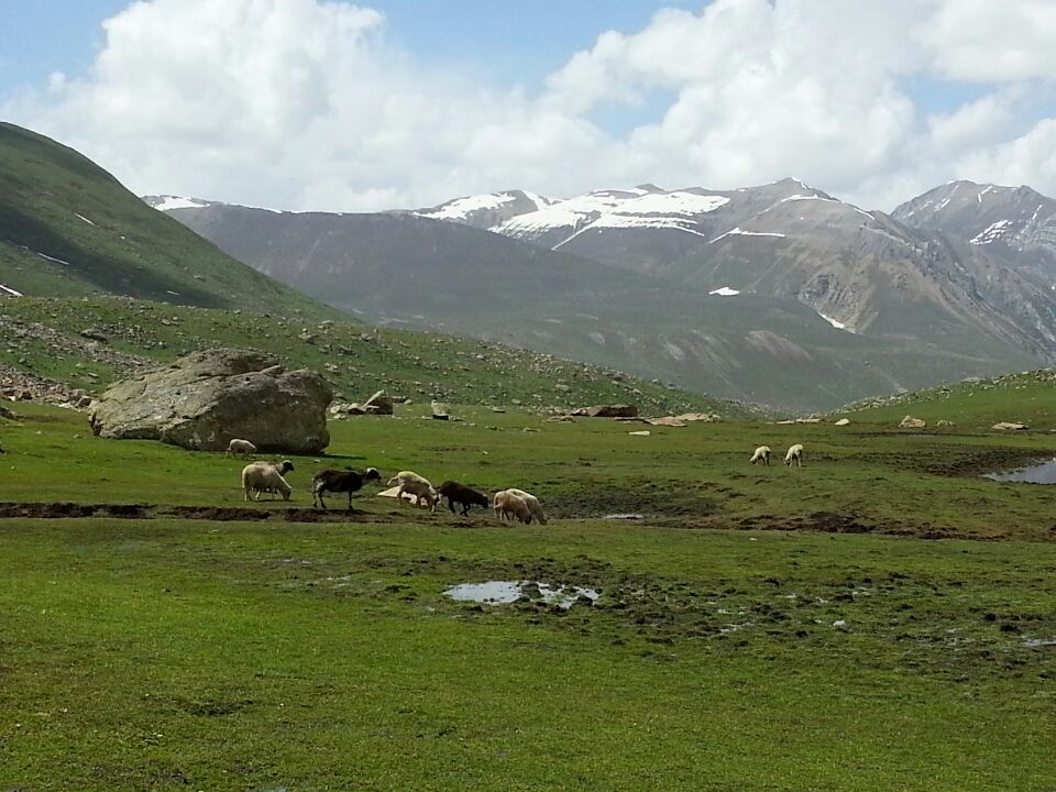 Photo of Jammu and Kashmir by Nitya Venkataraman