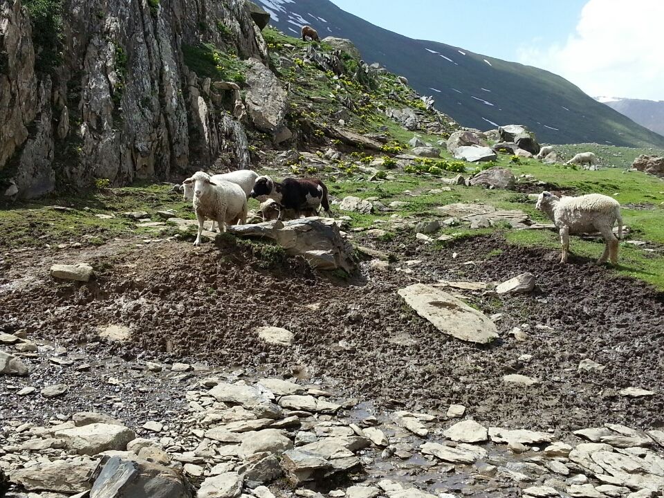 Photo of Jammu and Kashmir by Nitya Venkataraman