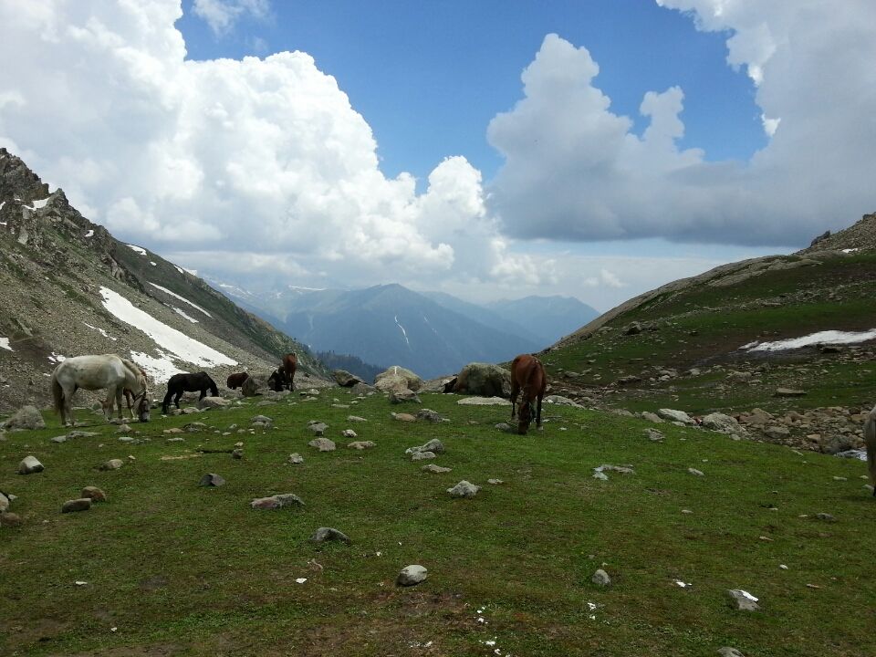 Photo of Jammu and Kashmir by Nitya Venkataraman