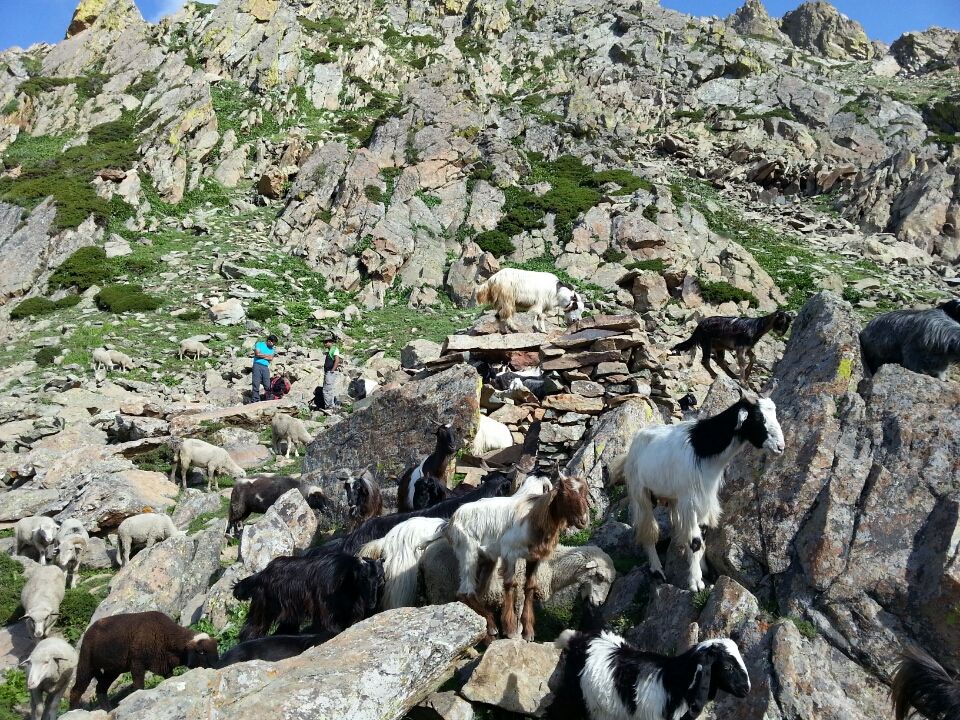 Photo of Jammu and Kashmir by Nitya Venkataraman
