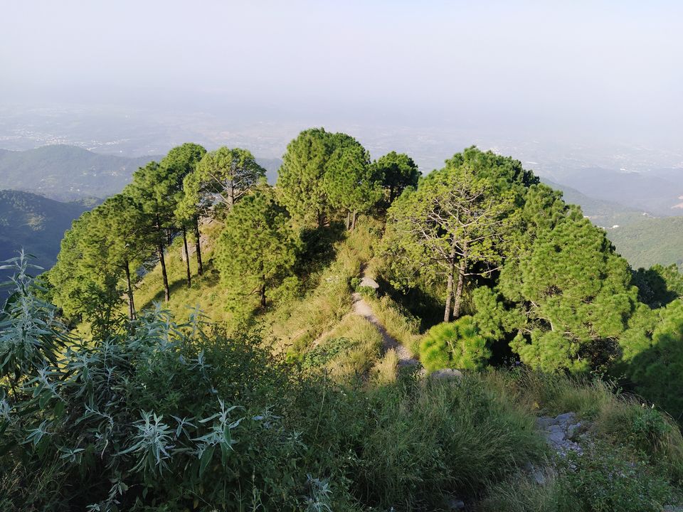 Photo of Perfect 2 Days ITINERARY for KASAULI by Bhavya Sharma